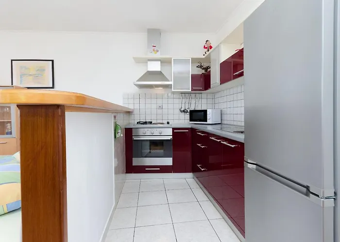 Goran 노비비노돌스키