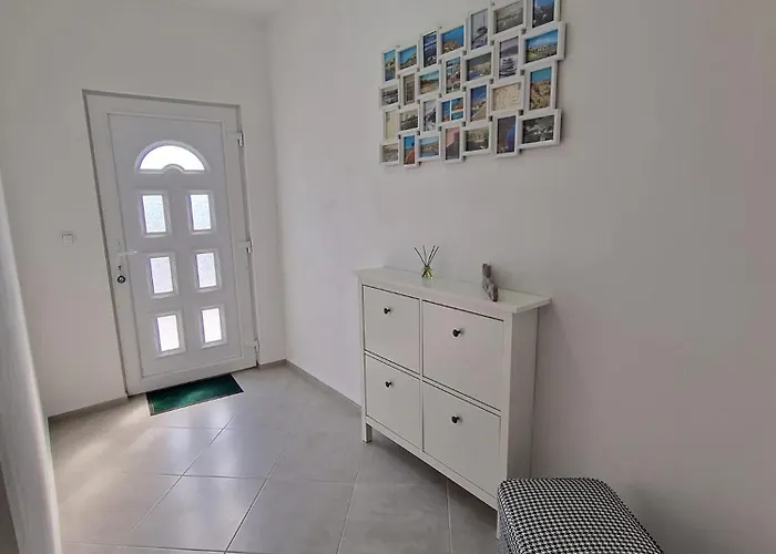 Goran 노비비노돌스키