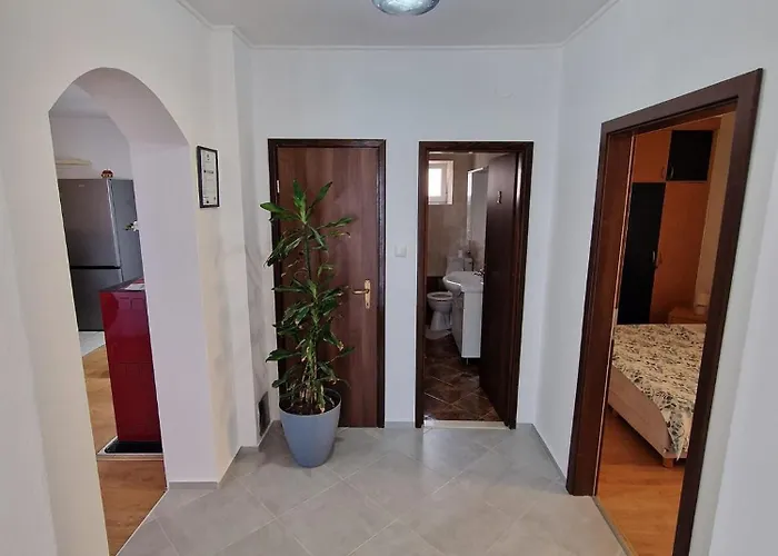 Goran * 노비비노돌스키